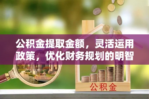 水城公积金提取金额，灵活运用政策，优化财务规划的明智选择